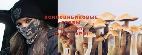 дмт Арсеньев