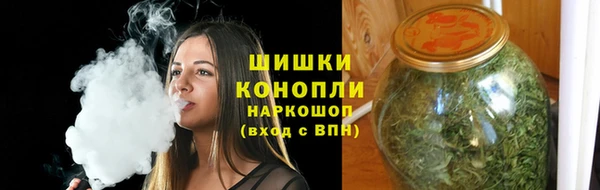 дмт Арсеньев