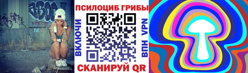 Галлюциногенные грибы Psilocybe  Купить где  Элиста 